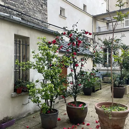 Bright And Charming 40 M Apartment